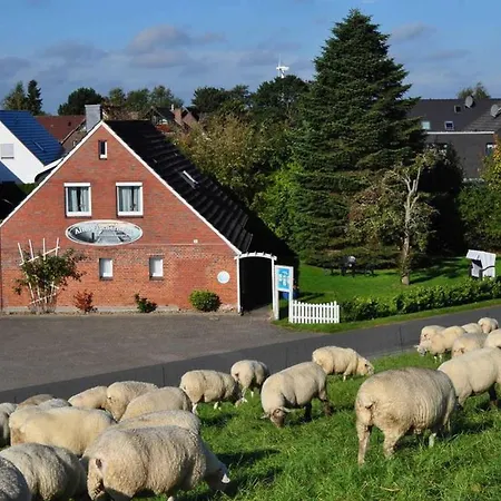 Juist Apartment Schillig