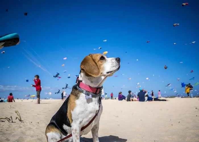 Juist 公寓 西里格